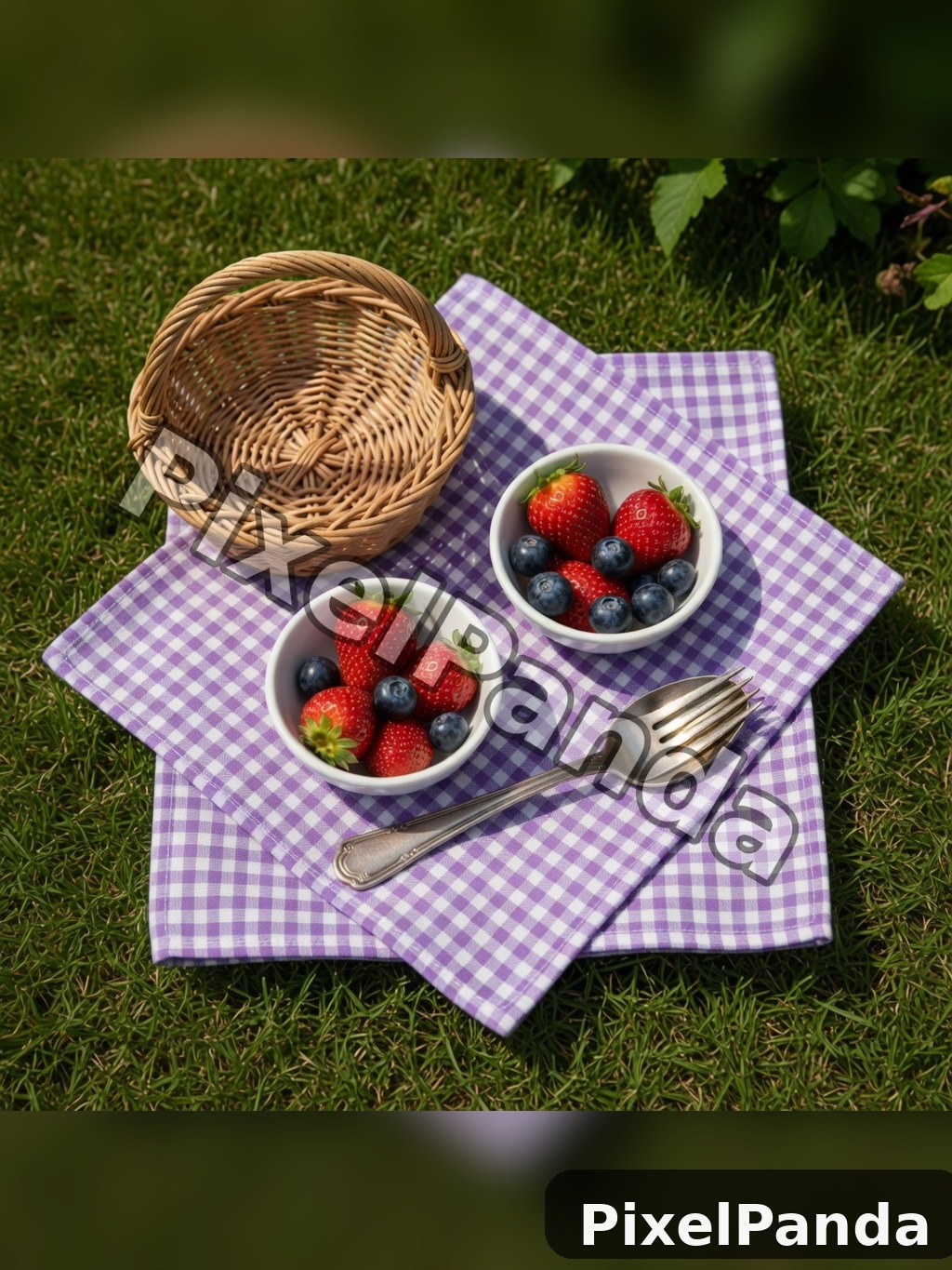 Picnic Blanket Spread