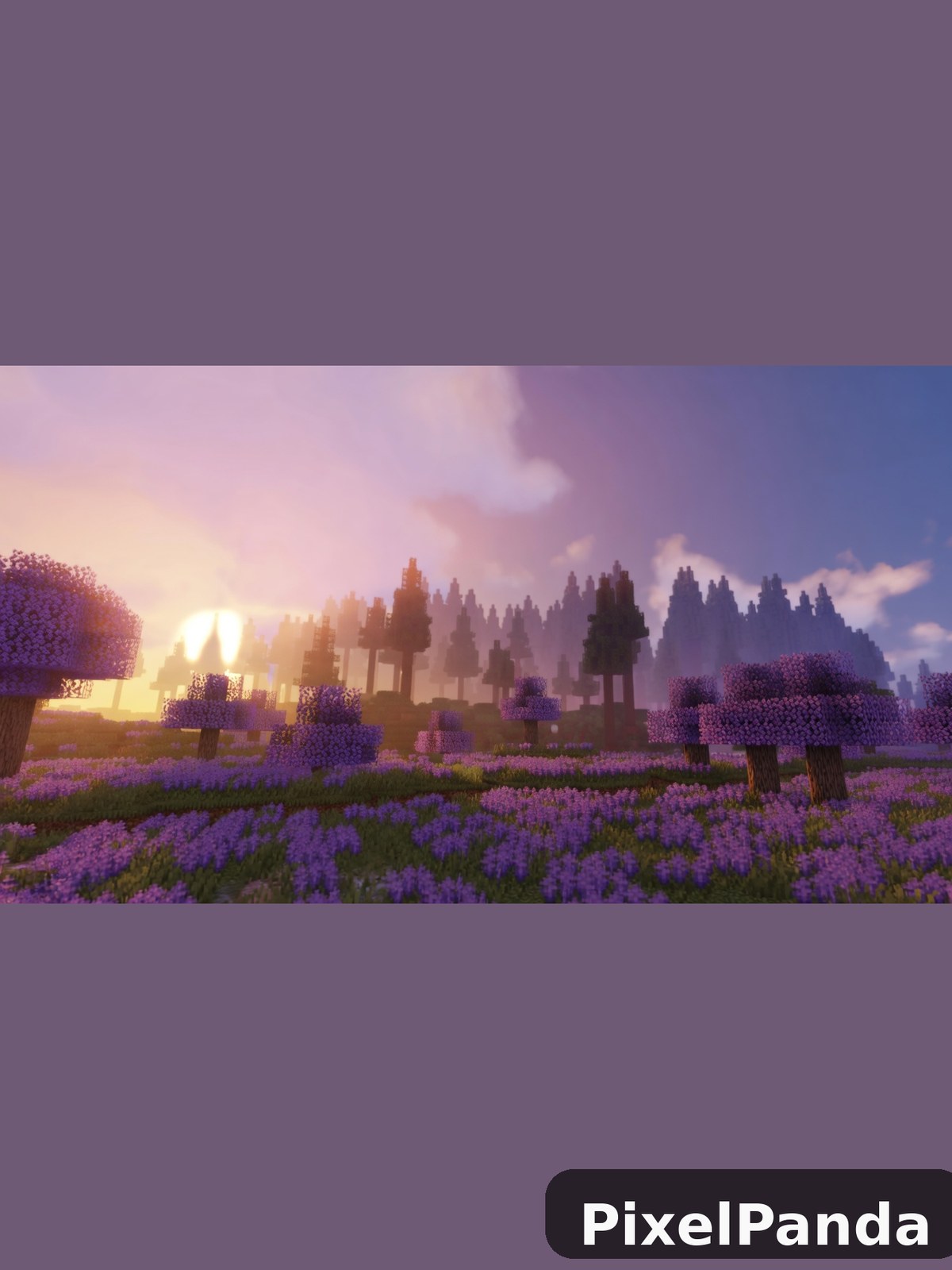 Sunrise Over Fields — Made with PixelPanda