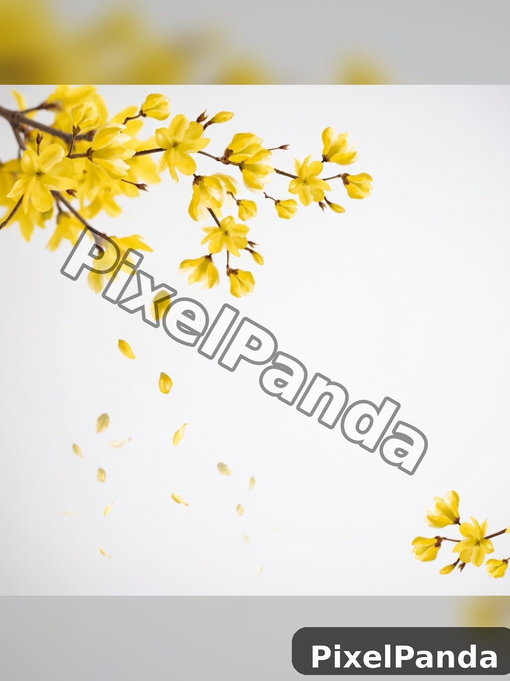 Floating Petals Detail — Made with PixelPanda