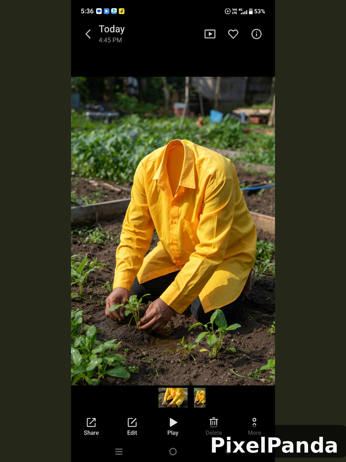 Active Gardening — Made with PixelPanda