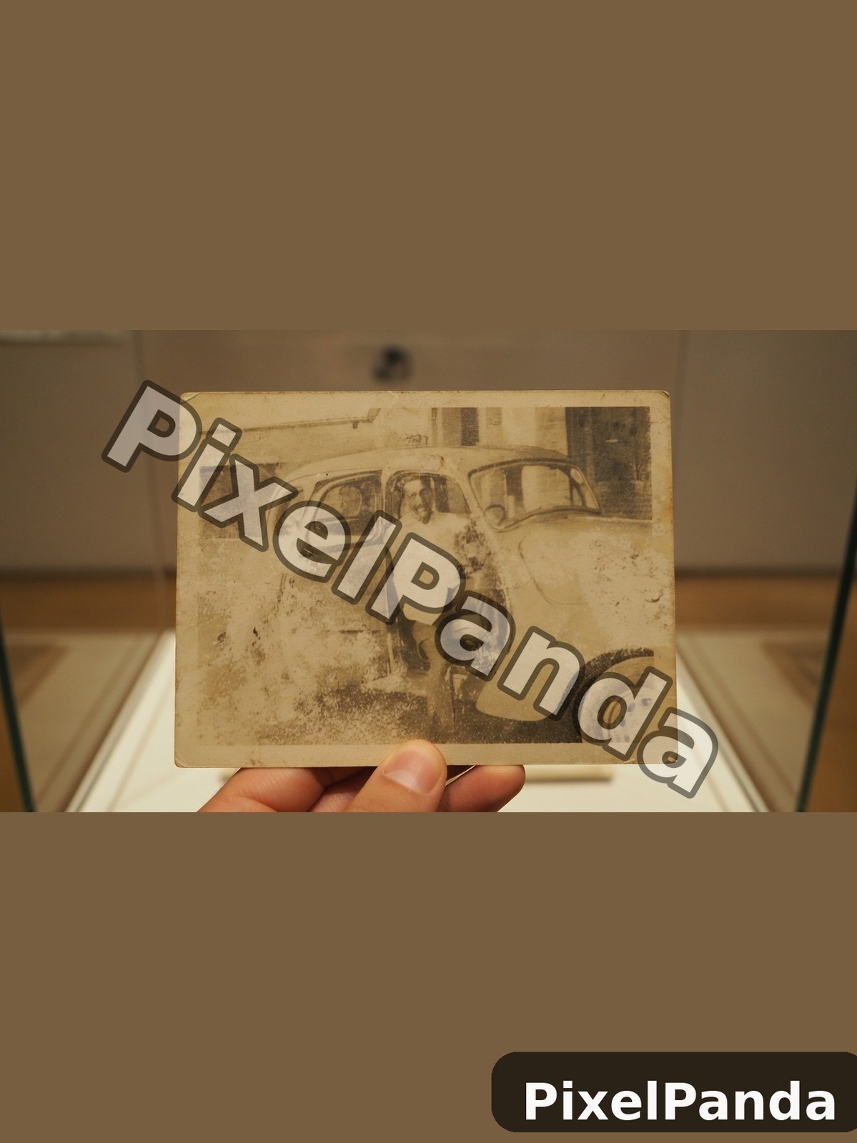 Archive Display