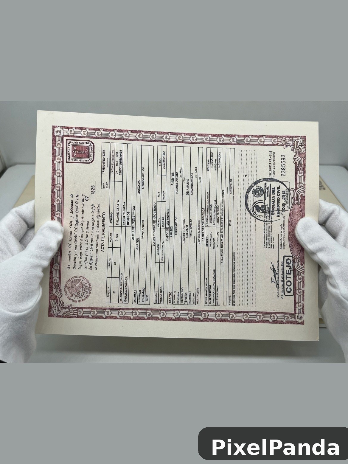 Hands holding vintage stock certificate with ornate border