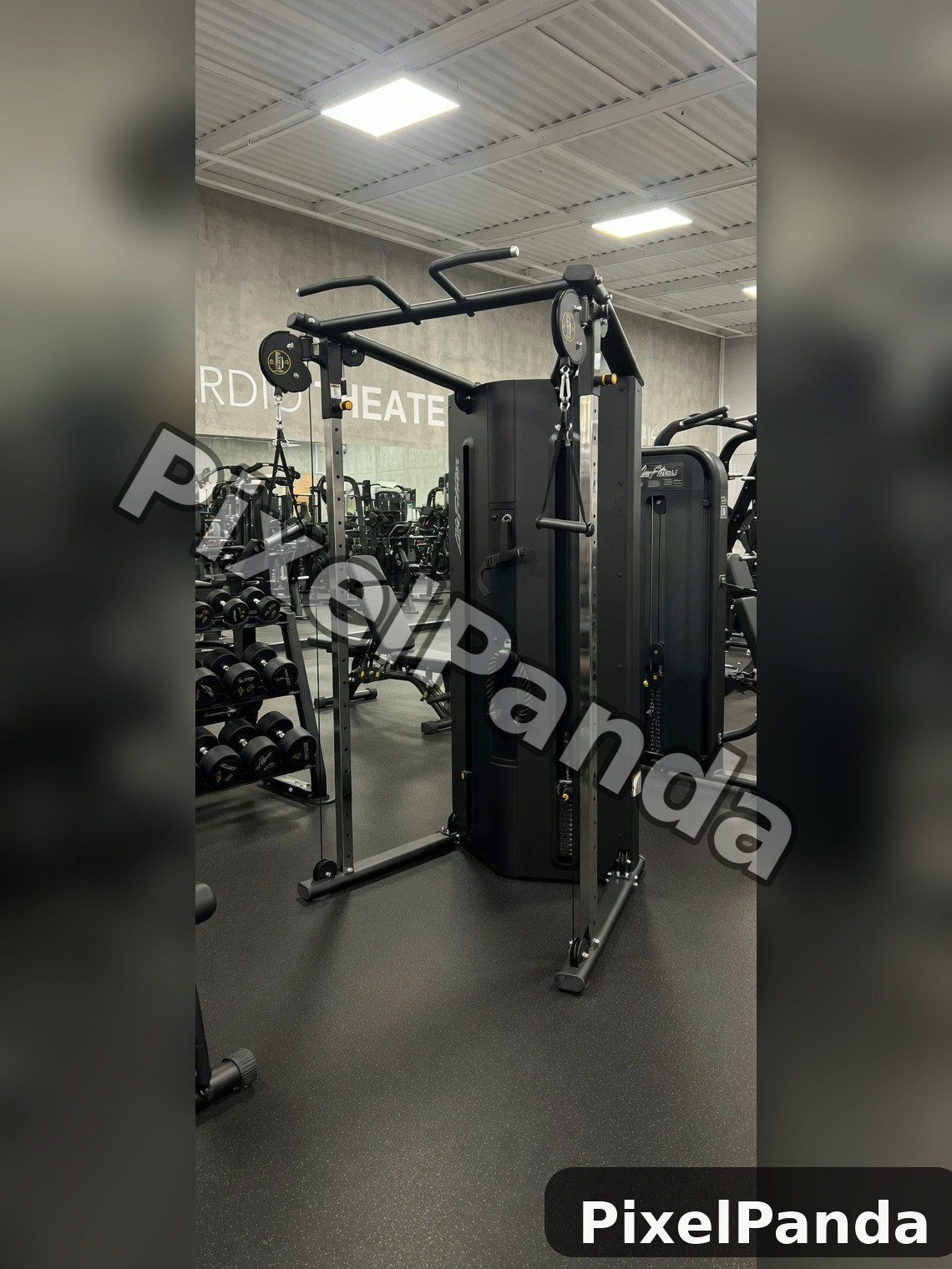 Commercial Gym Setting