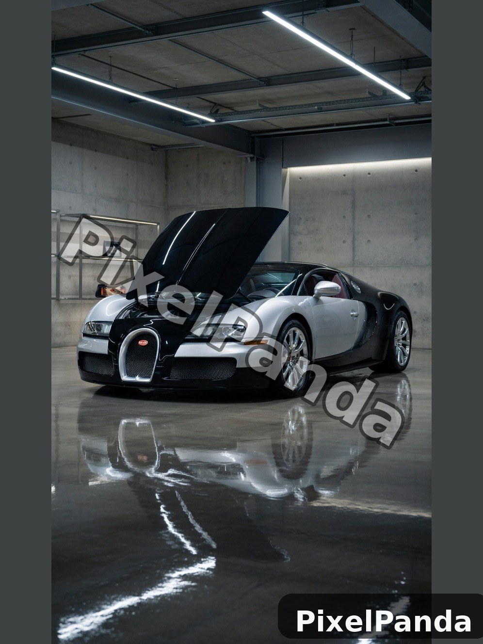 Garage Gallery — Made with PixelPanda