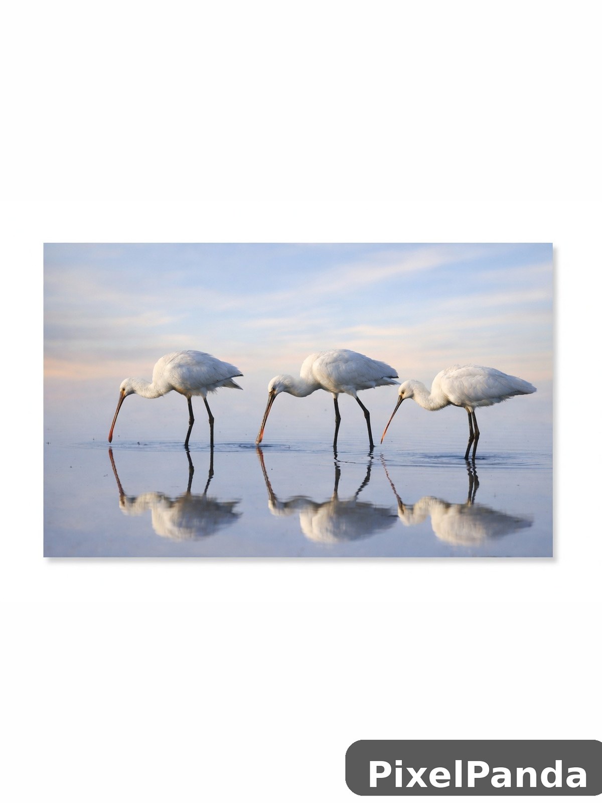 Golden Hour Trio — Made with PixelPanda