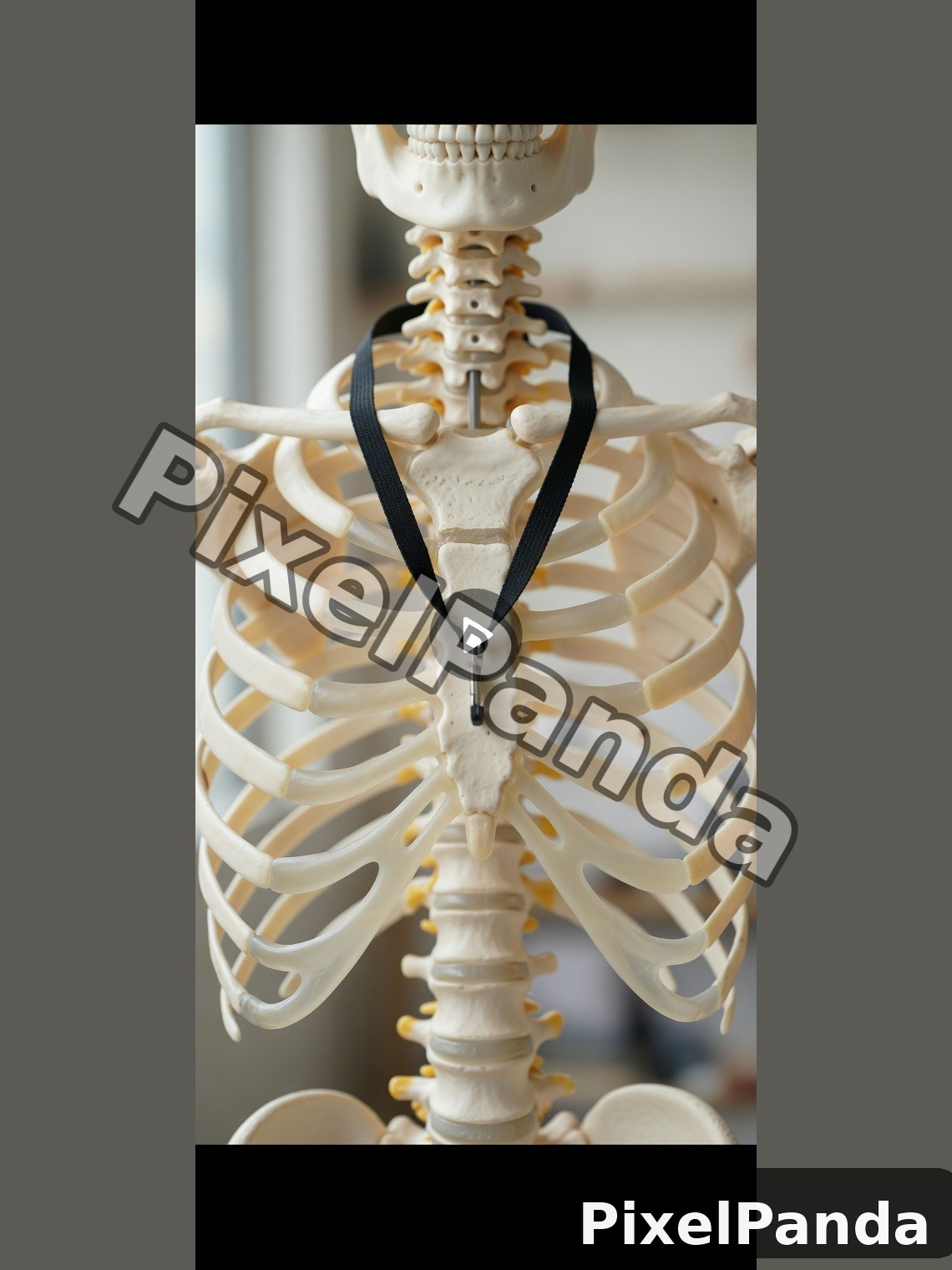 Detailed Bone Study — Made with PixelPanda
