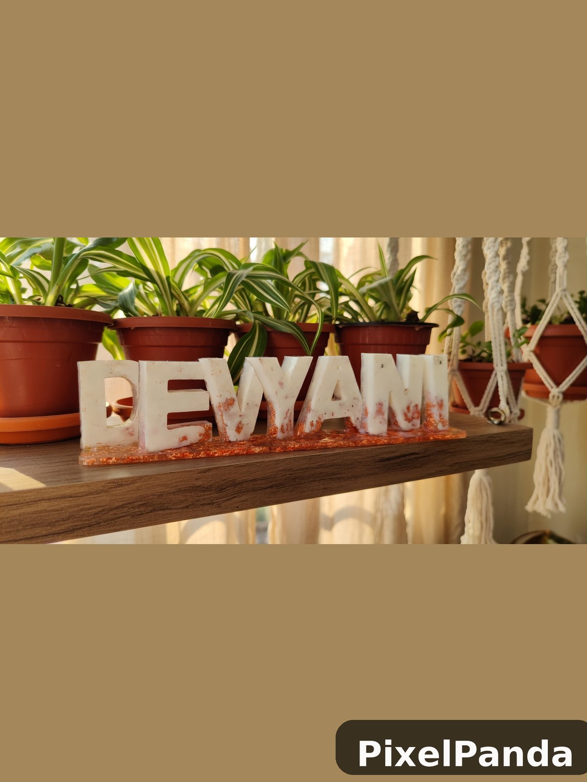 Plant Shelf Display — Made with PixelPanda