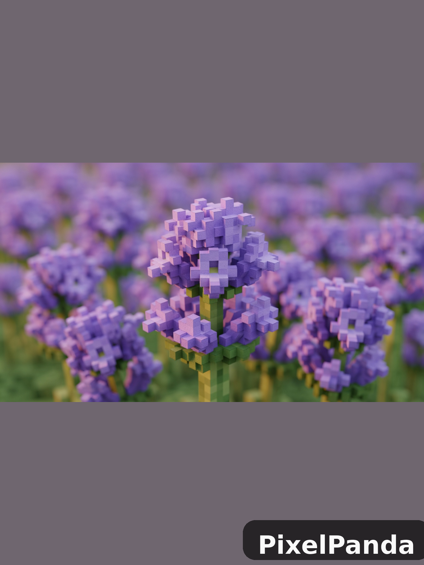 Close-Up Flowers — Made with PixelPanda