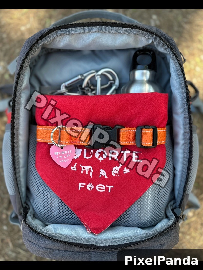 Packable Ready — Made with PixelPanda