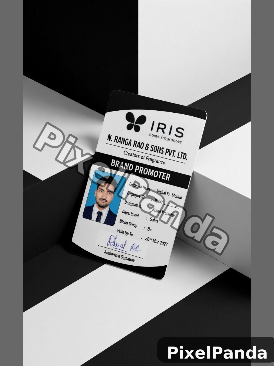 Professional Identity — Made with PixelPanda