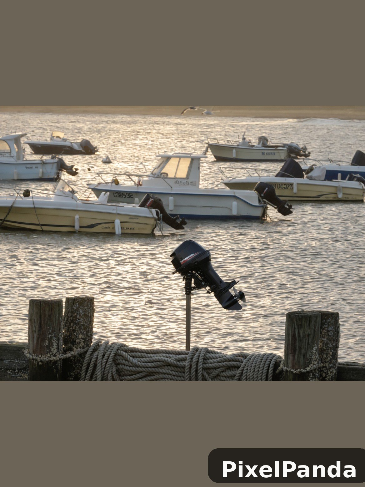 Harbor Morning Light — Made with PixelPanda