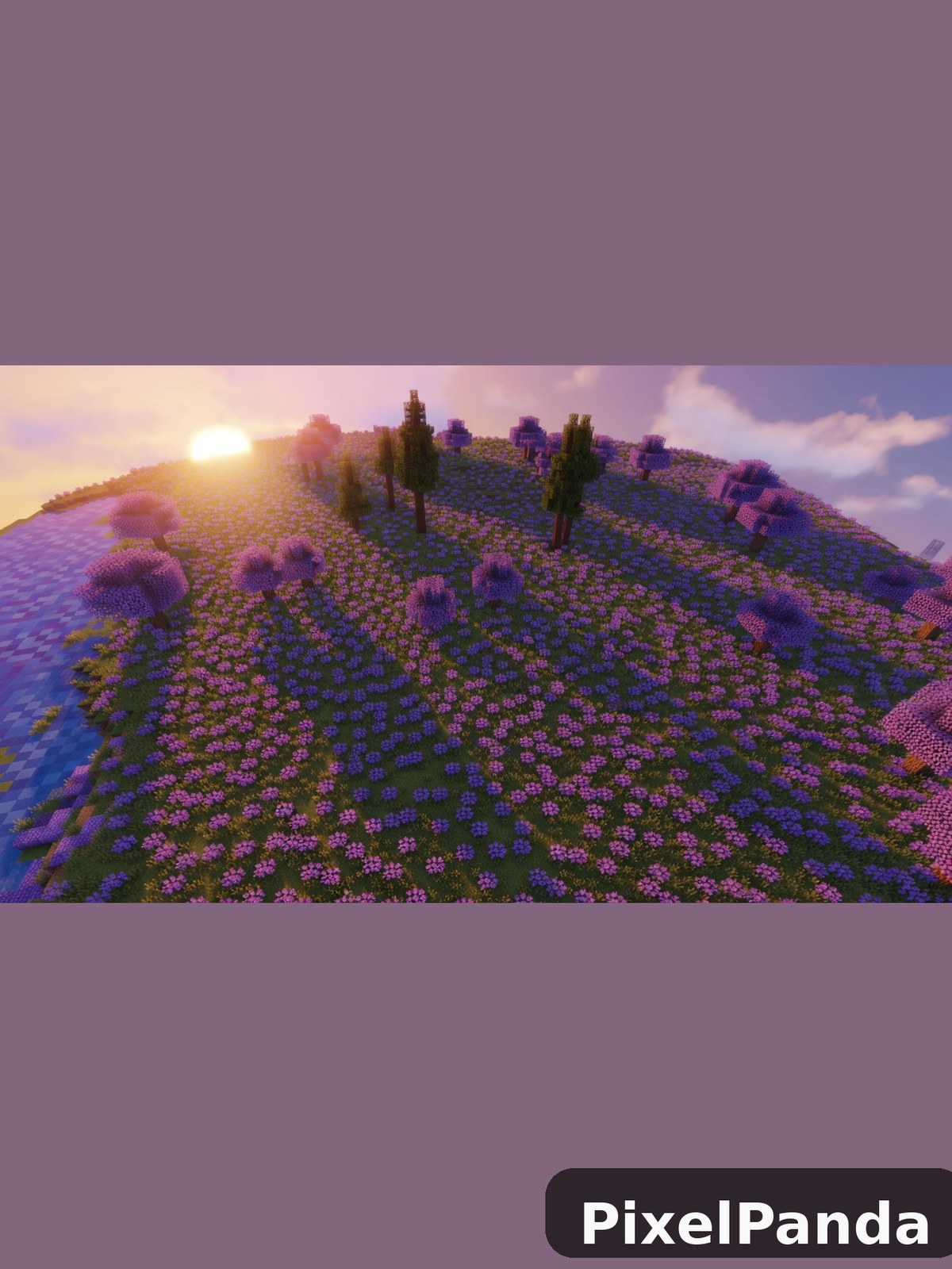 Aerial View — Made with PixelPanda