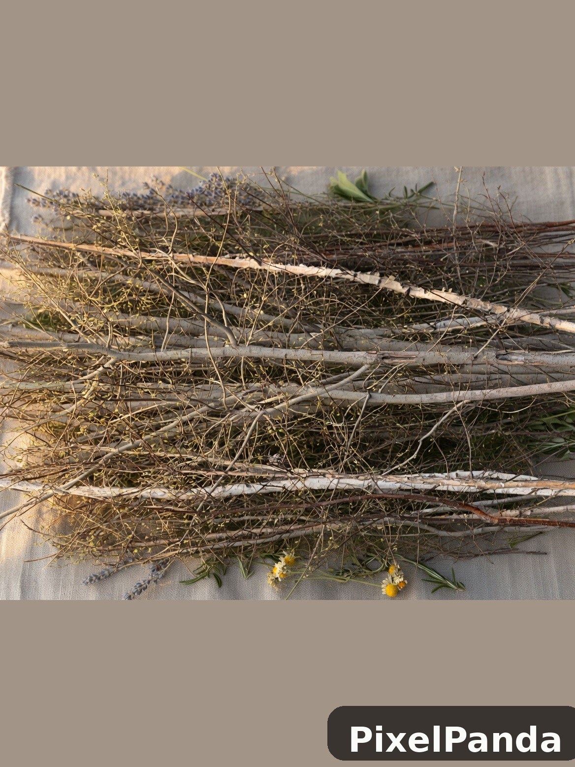 Dried branches and wildflowers arranged flat lay on neutral surface