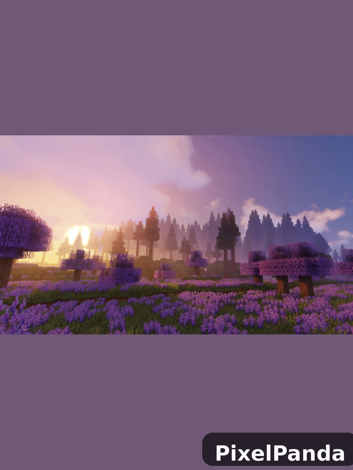 Misty Morning — Made with PixelPanda